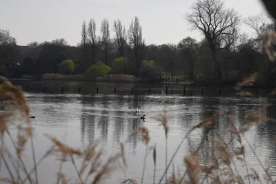 DSC_6889 (Large).JPG